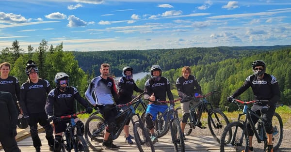 Frends - Integration Summer Trainee